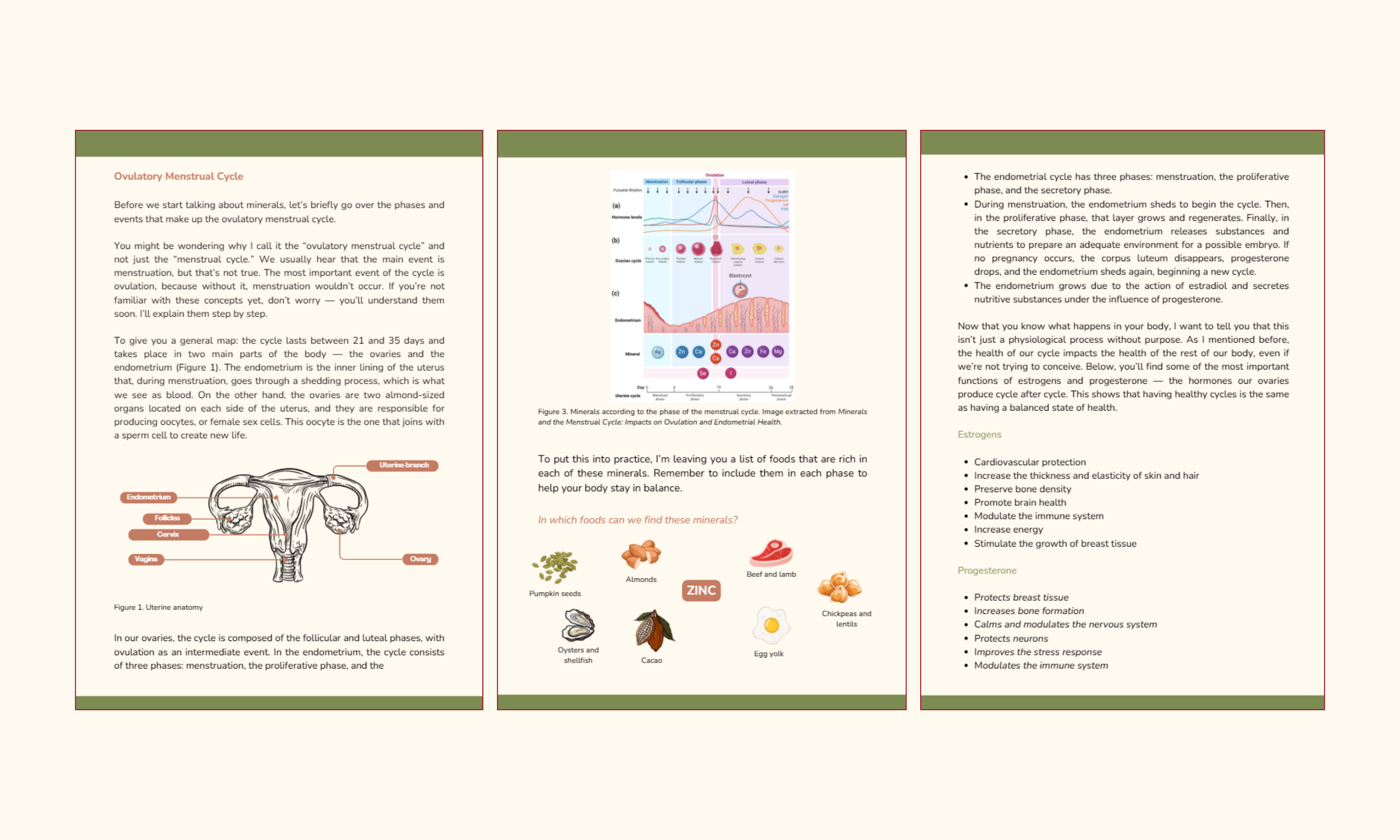 Minerals for a Balanced Cycle: Nourish Every Phase